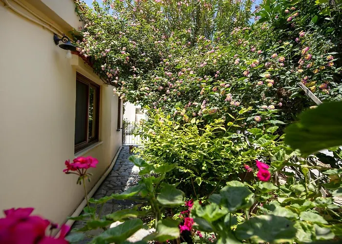 Elisavet\'S House