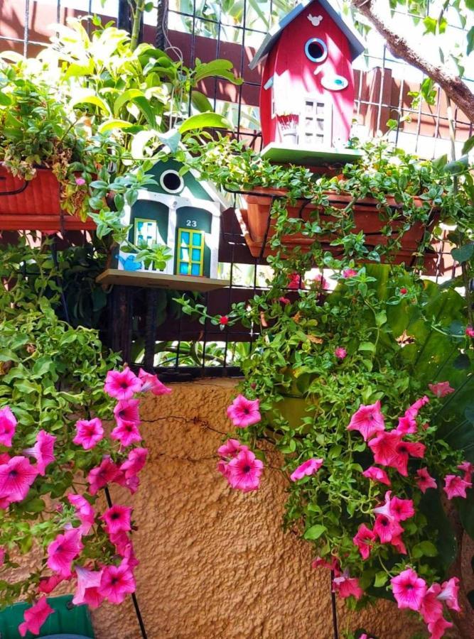 Elisavet's House