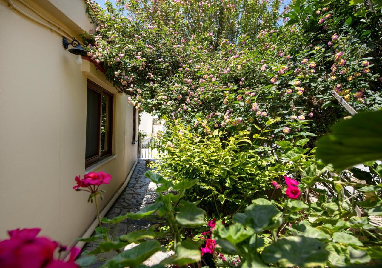 Tatil Evi Elisavet's House